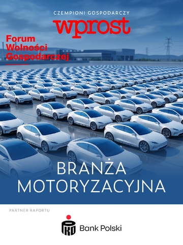 Czempioni Gospodarczy – Branża Motoryzacyjna