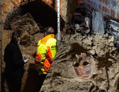 Miniatura: Naukowcy otworzyli tajemniczą kryptę pod...