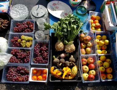 Miniatura: Polsko-rosyjska wojna handlowa. Przy...