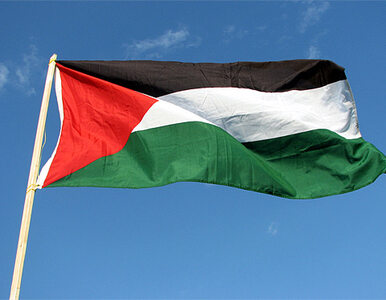 Miniatura: Izrael i Palestyna znów usiądą do stołu