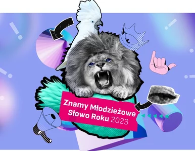 Miniatura: Młodzieżowe Słowo Roku 2023 wybrane!...