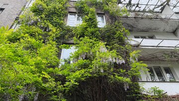 Układ urbanistyczny Szarych Dom&oacute;w uznawany jest za&nbsp;wzorcowy przykład przedwojennego planowania