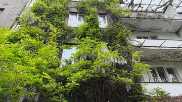 Układ urbanistyczny Szarych Domów uznawany jest za wzorcowy przykład przedwojennego planowania 
