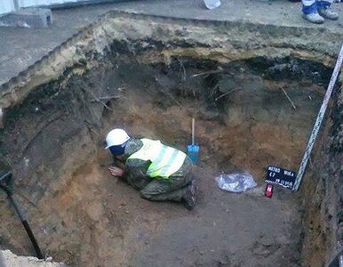 Miniatura: Odkryto ludzkie szczątki na budowie II...
