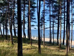 Miniatura: Wracają opłaty nad Bałtykiem. Nawet 35...