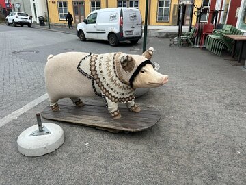 Okolice starego portu w&nbsp;Reykjav&iacute;ku