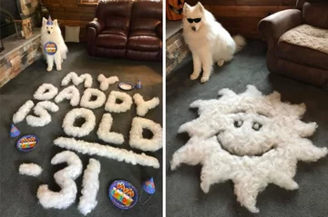 Z sierści można układać też napisy 