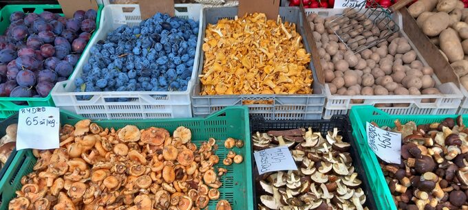 Ceny grzybów na bazarze