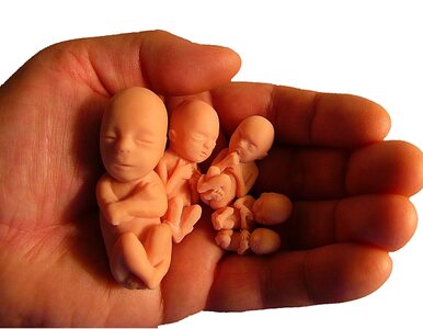 Miniatura: Irlandia: Przyznały się do aborcji, grozi...