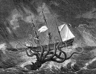 Miniatura: Kraken istniał naprawdę? Naukowcy odkryli...