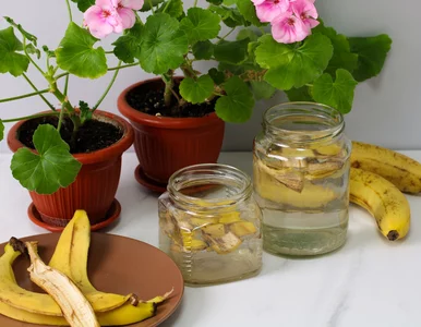 Miniatura: Pokrój, zalej wodą, zaczekaj na bąbelki....