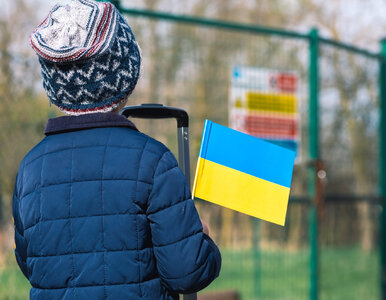 Miniatura: 800 plus dla Ukraińców. Taka jest skala...