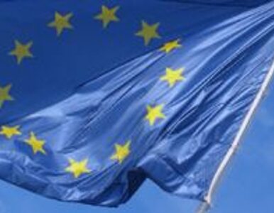 Miniatura: "UE powinna kontrolować strategiczne...