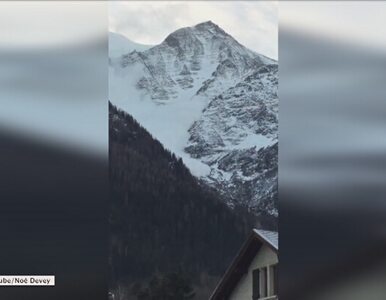 Miniatura: Turyści nagrali lawinę w Alpach