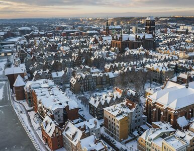 Miniatura: Zagraniczny ekonomista zachwyca się...