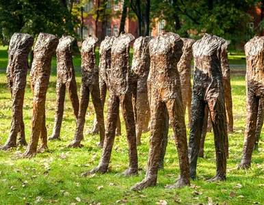 Miniatura: Czy padnie rekord? Polska instalacja...