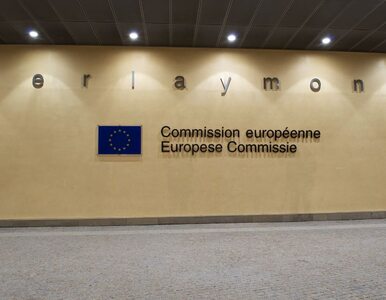 Miniatura: Komisja Europejska przyjęła budżet na 2013 r.
