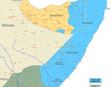 Miniatura: Somalia prosi o pomoc militarną