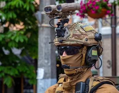 Miniatura: Całkowita zmiana nastawienia Niemiec do...