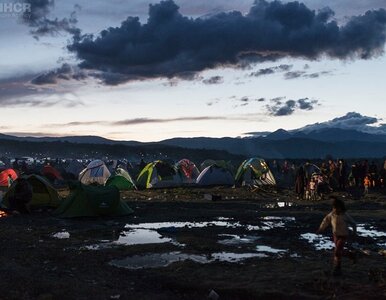 Miniatura: Dwaj imigranci udaremnili próbę gwałtu na...