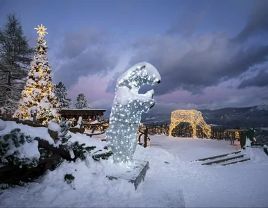 Miniatura: Tej atrakcji w Zakopanem nie można...