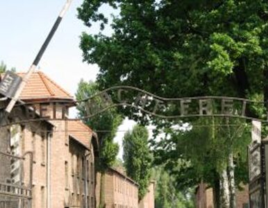 Miniatura: Francja zakonserwuje Auschwitz