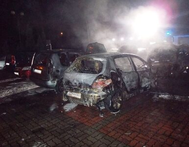 Miniatura: W Licheniu spłonęły samochody. Należały do...