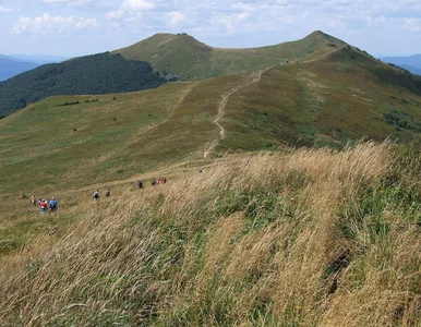 Miniatura: 10-latka bez opiekuna w Bieszczadach....