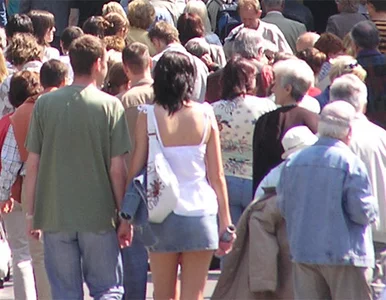 Miniatura: 20-latek musi zapłacić prawie milion zł,...