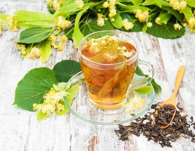 Miniatura: Herbata z lipy – na przeziębienie i na...