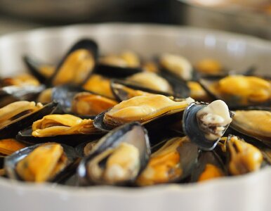 Miniatura: Market sprzedawał owoce morza. Tego się...