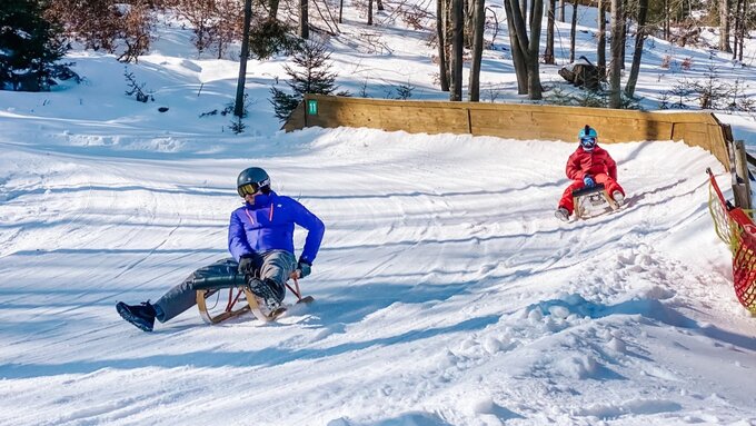 MP w&nbsp;saneczkarstwie dowolnym