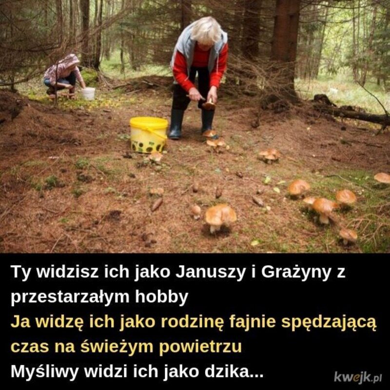 Memy o grzybobraniu 