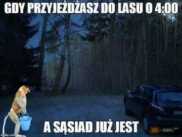 Mem z nosaczem sundajskim 