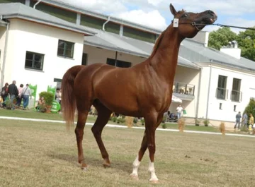 Fot. A. Jagielak/ Wprost