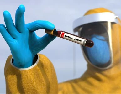 Miniatura: Już ponad tysiąc ofiar wirusa Ebola. Nie...