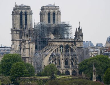Miniatura: Francja. Katedra Notre Dame nie była...