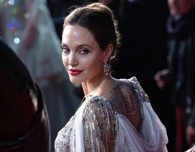 Miniatura: Angelina Jolie wyreżyseruje „Unreasonable...