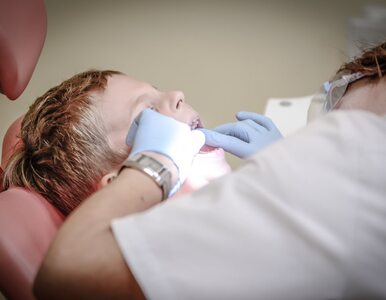 Komórki macierzyste można pobierać także z zębów. Jak wygląda procedura?
