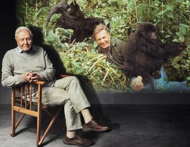 Miniatura: Sir David Attenborough obchodzi 100...