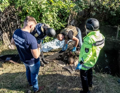 Miniatura: Szokujące odkrycie Ukraińców na terenie...