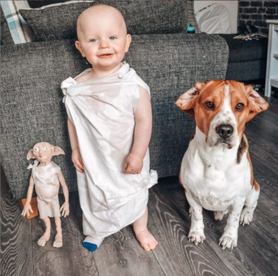 Miniatura: Jax i Marley stali się nierozłączni. Psa i...