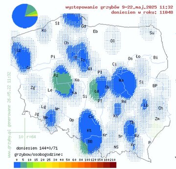 Mapa grzyb&oacute;w