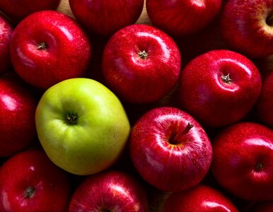 Miniatura: Dieta jabłkowa – monotonna, ale skuteczna?...