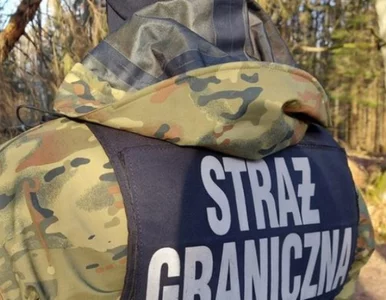 Miniatura: Zatrzymano auta na polskich tablicach....