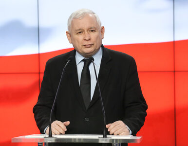Miniatura: Kaczyński: Nie będzie końcowego raportu...