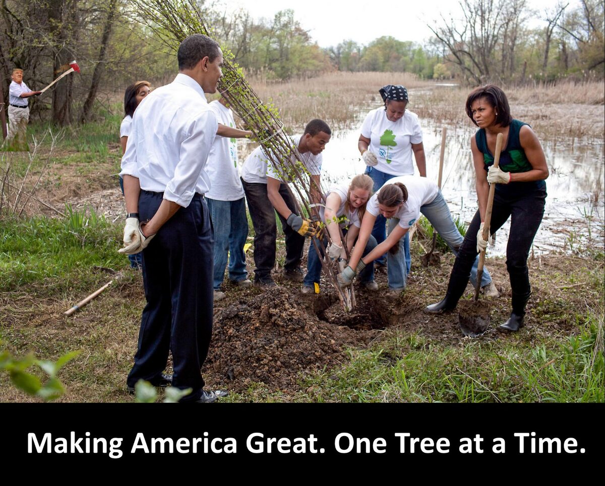 Przeróbka zdjęcia Baracka Obamy z żoną, nadzorujących sadzenie młodego drzewa. I jeszcze jeden Trump z siekierą 