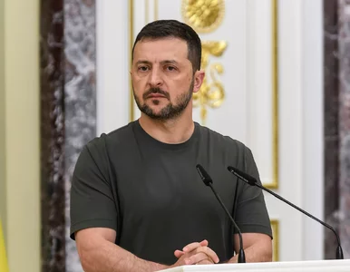 Miniatura: Wymiana jeńców w Dniu Niepodległości...