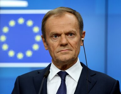 Miniatura: Donald Tusk dostał prezent od studentów z...