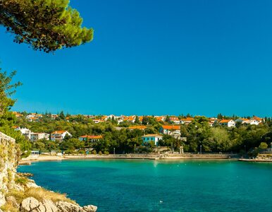 Miniatura: Piękna wyspa w Chorwacji opanowana przez...